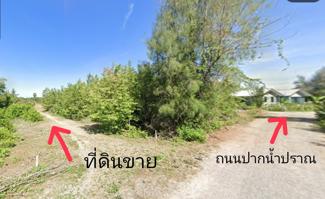 ขายที่ดินปราณบุรี ประจวบคีรีขันธ์ 2-0-85.4 ไร่ ถนนปากน้ำปราณ ใกล้ทะเล – รูปที่ 4