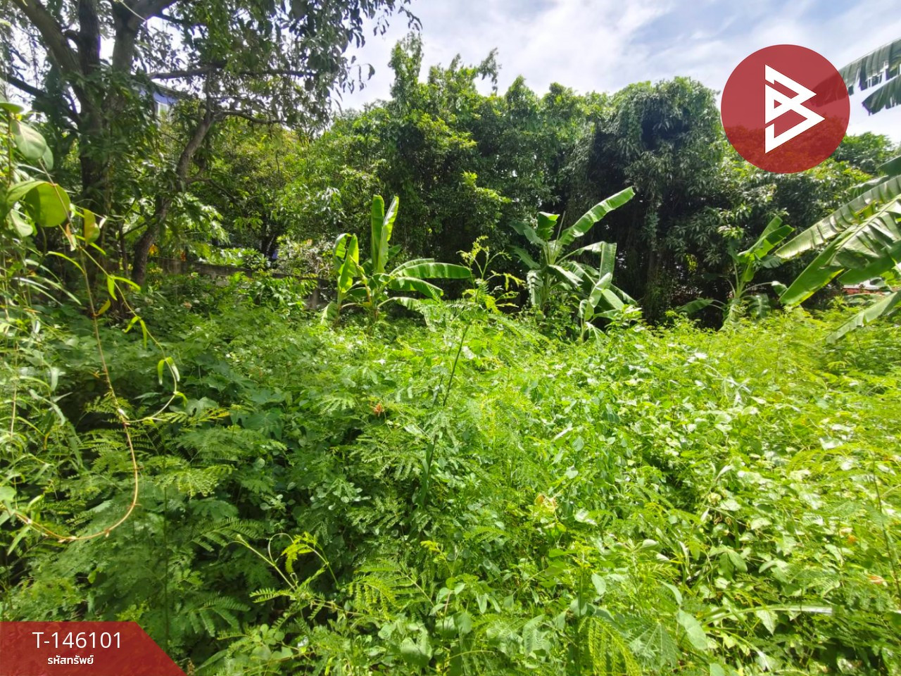 ขายที่ดิน เนื้อที่ 86 ตร.วา บางศรีเมือง นนทบุรี – รูปที่ 4