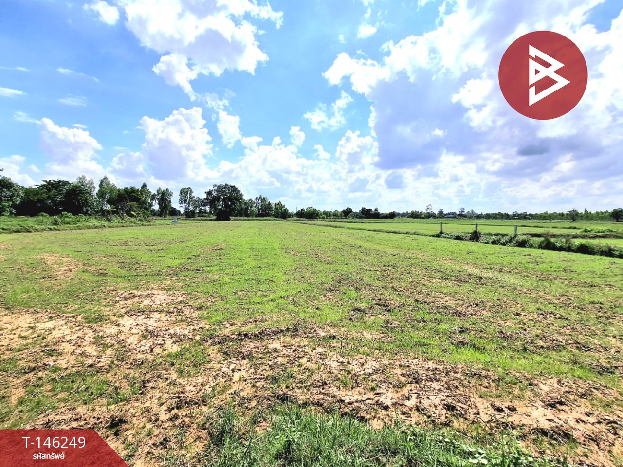 Land for sale, area 2 rai 1 ngan 60 sq m, Thawatchaburi, Roi Et. – รูปที่ 2