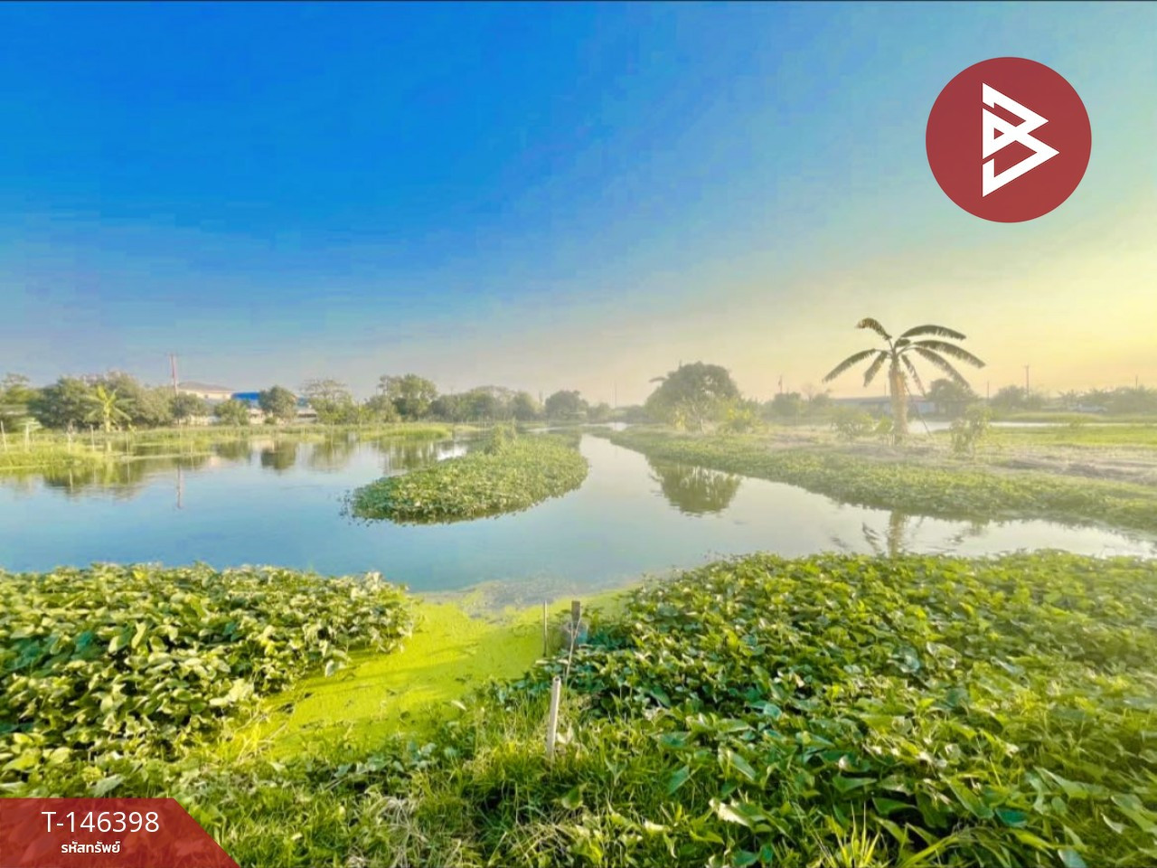 ขายที่ดินเปล่า เนื้อที่ 7 ไร่ 3 งาน 90.6 ตร.วา แพรกษา สมุทรปราการ – รูปที่ 2