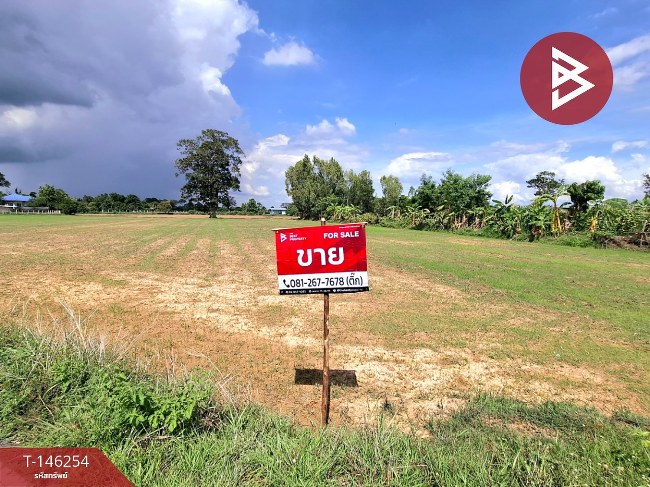 ขายที่ดิน เนื้อที่ 4 ไร่ 3 งาน 80 ตารางวา หนองไผ่ ร้อยเอ็ด – รูปที่ 3
