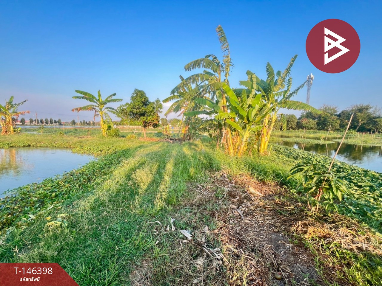 ขายที่ดินเปล่า เนื้อที่ 7 ไร่ 3 งาน 90.6 ตร.วา แพรกษา สมุทรปราการ – รูปที่ 3