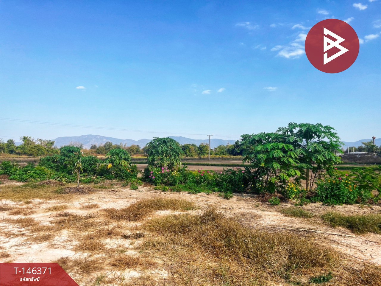 Land for sale, 12 rai, with a pond, Bo Yang Subdistrict, Sawang Arom District, Uthai Thani Province. – รูปที่ 3