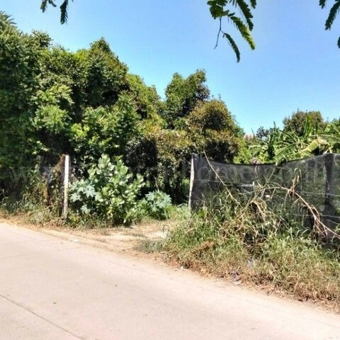 ที่ดินเปล่า 347 ตร.ว ถมแล้ว ซอยร่วมใจพัฒนา บางขุนกอง ใกล้โฮมโปรราชพฤกษ์ นครอินทร์ – รูปที่ 4