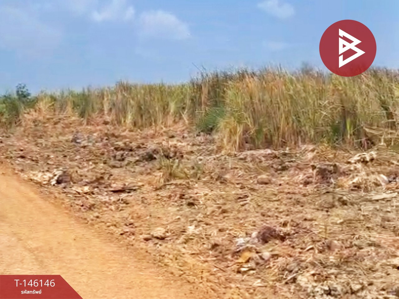 Land for sale, area 1 rai, Thanyaburi, Pathum Thani – รูปที่ 2