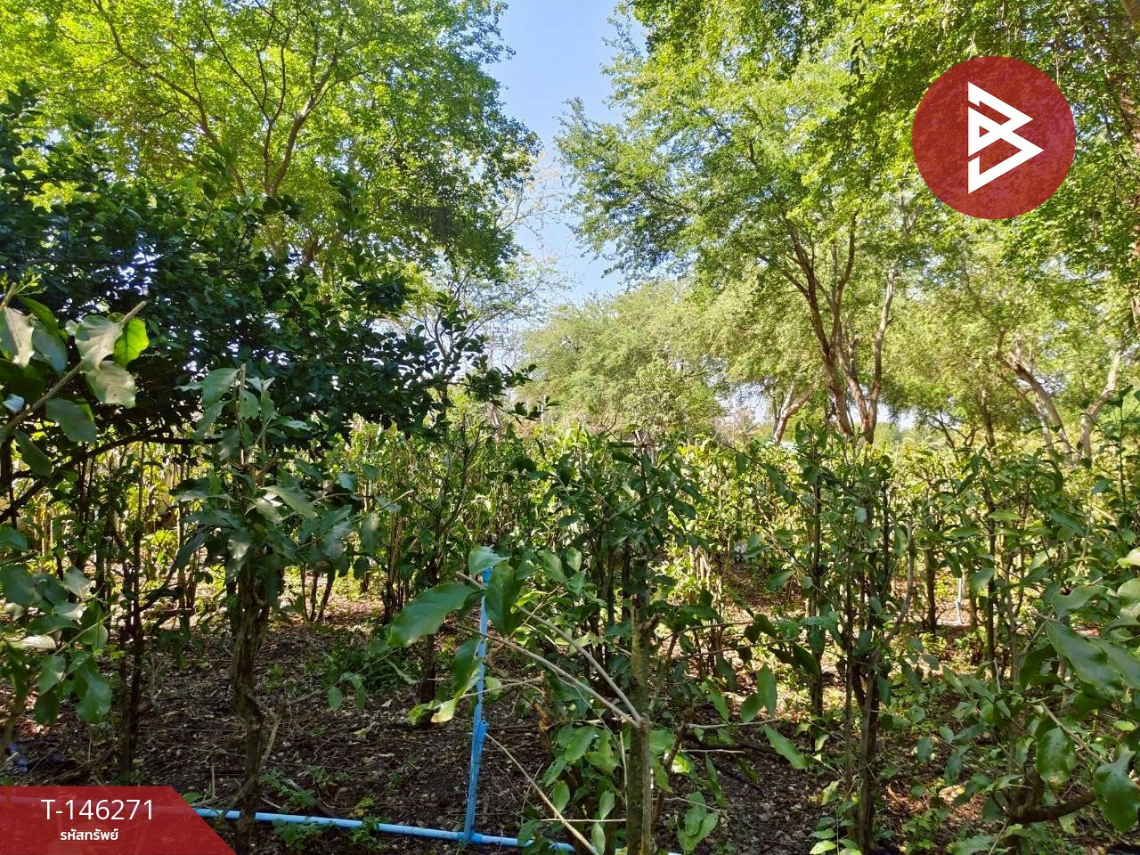 Land for sale 2 rai 1 ngan 95.8 square wah, Ban Mo, Saraburi. – รูปที่ 2