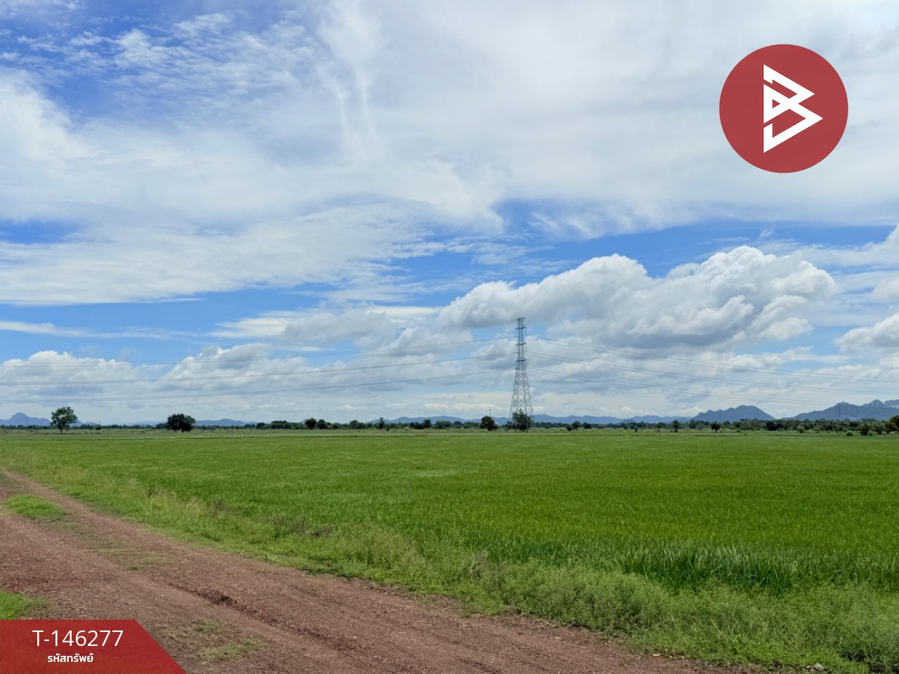 ขายที่ดิน เนื้อที่ 20 ไร่ 1.9 ตารางวา บ้านหมอ สระบุรี – รูปที่ 3
