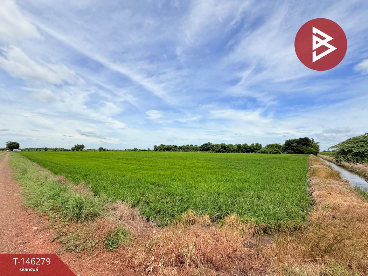 Land for sale, area 6 rai, Ban Mo, Saraburi – รูปที่ 4