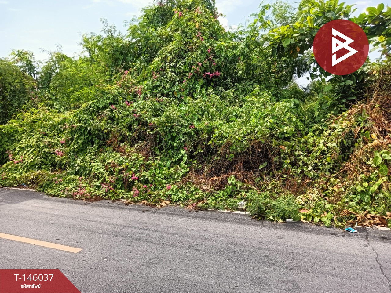 ขายที่ดิน เนื้อที่ 2 ไร่ 75.3 ตร.วา บางโปรง สมุทรปราการ – รูปที่ 4