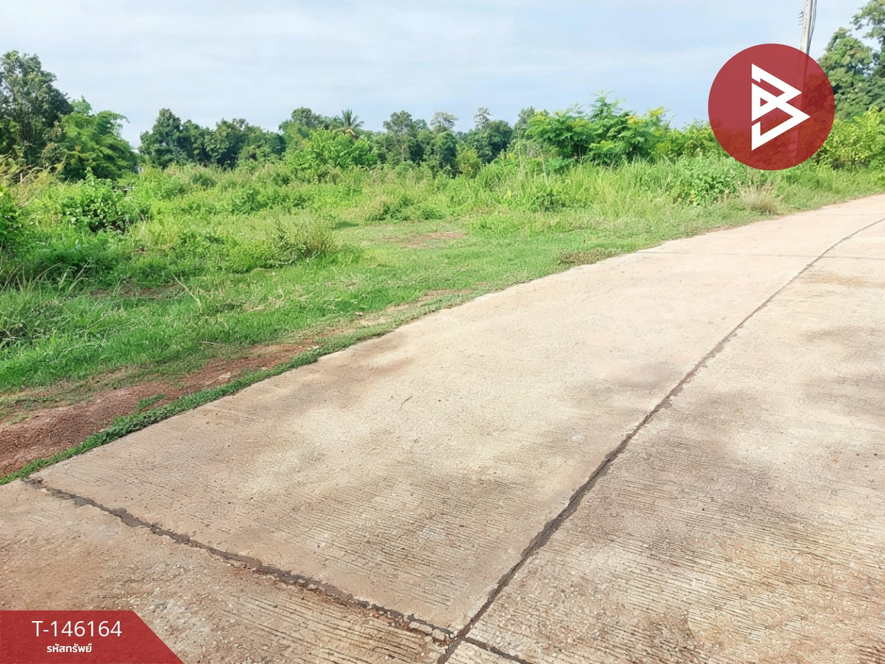 ขายที่ดิน เนื้อที่ 1 งาน 75.4 ตร.วา ท่าบ่อ หนองคาย – รูปที่ 4