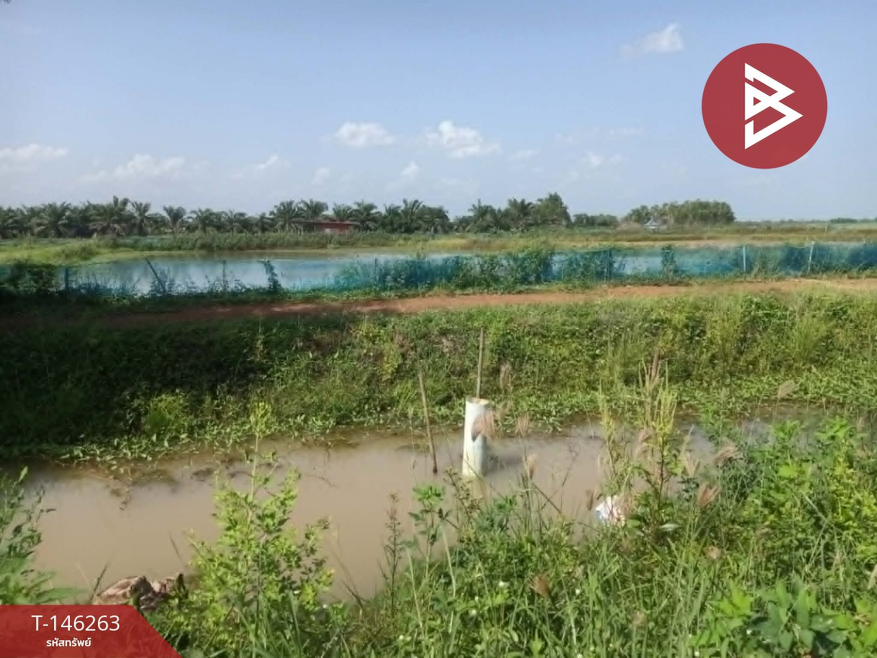 ขายที่ดิน เนื้อที่ 7 ไร่ 3 งาน 59.1 ตร.วา ปากพลี นครนายก ติดถนน – รูปที่ 4