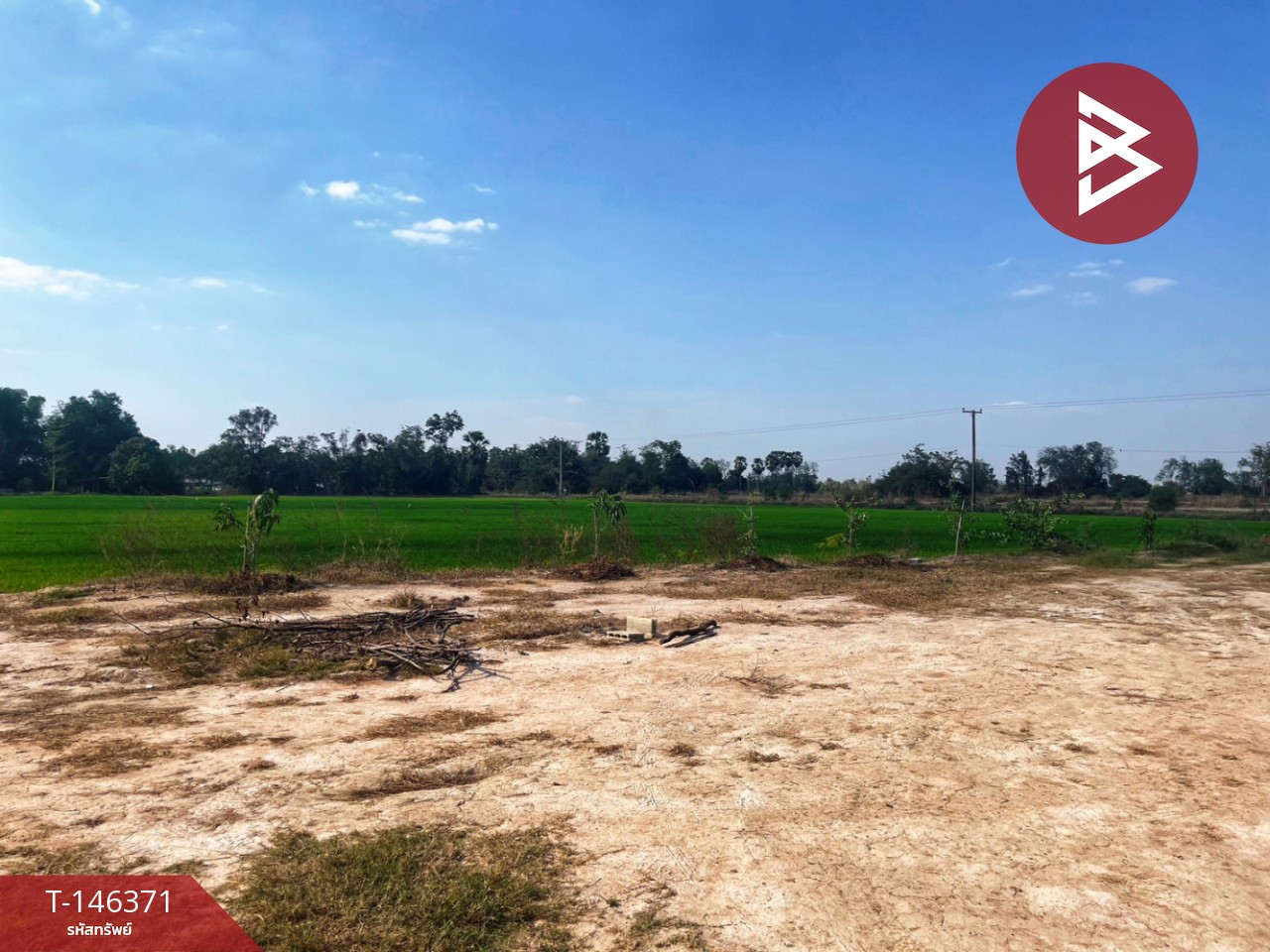 Land for sale, 12 rai, with a pond, Bo Yang Subdistrict, Sawang Arom District, Uthai Thani Province. Land for sale, 12 rai, with a pond, Bo Yang Subdistrict, Sawang Arom District, Uthai Thani Province.
