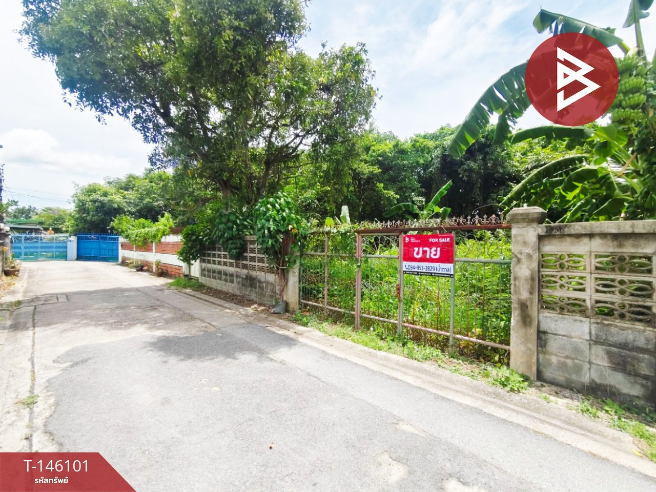 ขายที่ดิน เนื้อที่ 86 ตร.วา บางศรีเมือง นนทบุรี – รูปที่ 3