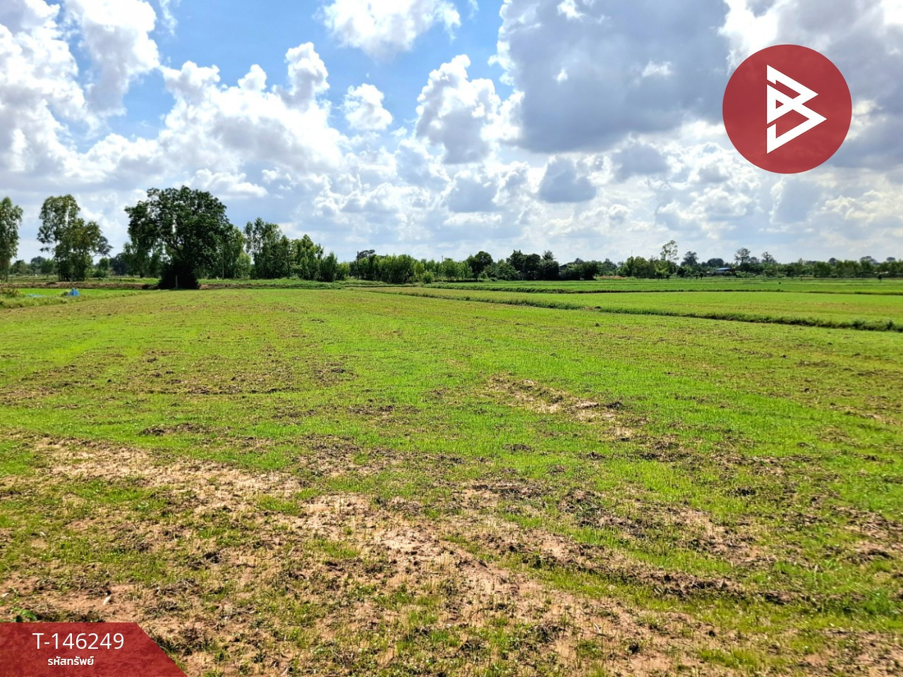 Land for sale, area 2 rai 1 ngan 60 sq m, Thawatchaburi, Roi Et. – รูปที่ 3
