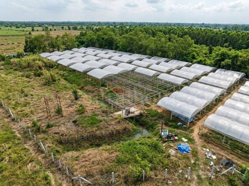 ที่ดินพร้อมสิ่งปลูกสร้าง 4-0-69.6 ไร่ ไทรน้อย – รูปที่ 2