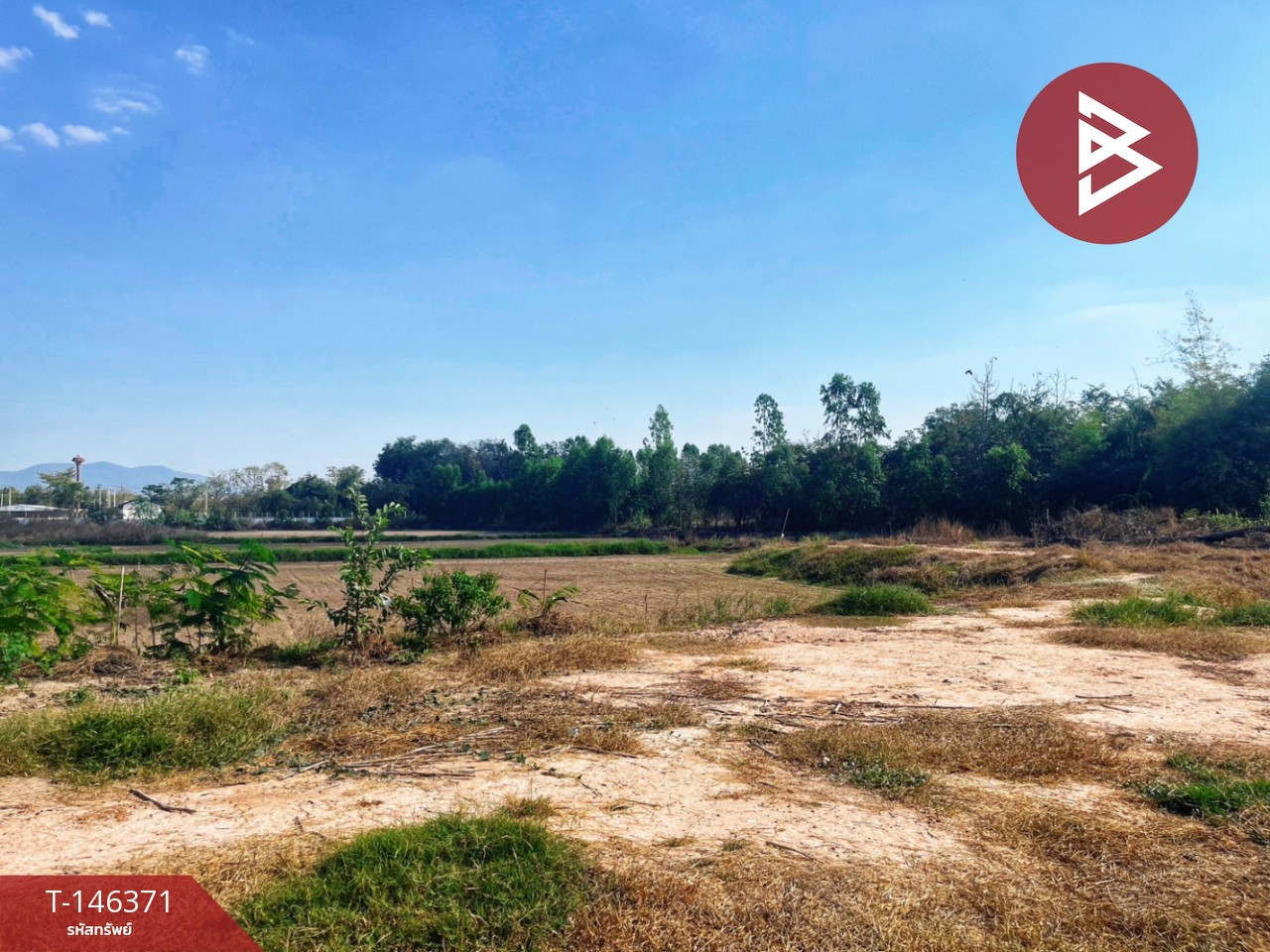 Land for sale, 12 rai, with a pond, Bo Yang Subdistrict, Sawang Arom District, Uthai Thani Province. – รูปที่ 2