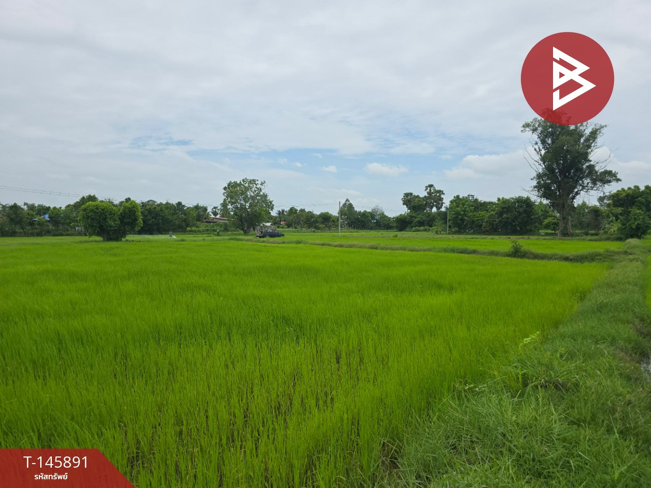 Land for sale, area 1 rai 2 ngan 94 sq m, Pho Subdistrict, Mueang Sisaket District, Sisaket Province. – รูปที่ 2