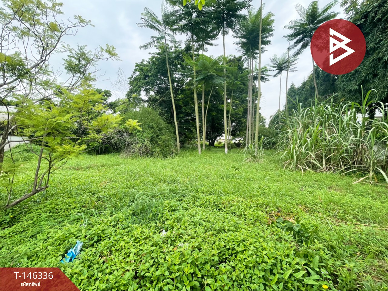 ขายที่ดิน เนื้อที่ 2 งาน 61 ตร.วา คันนายาว กรุงเทพมหานคร – รูปที่ 3