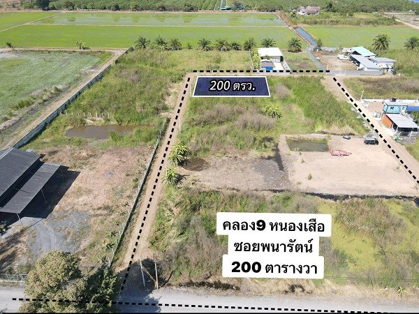 ลดถูกมากร้อนเงินแปลงมุมติดถนน 2.ด้านฮวงจุ้ยดีงาม ที่ดินแปลงมุมคลอง9 ซ.พนารัตน์ หนองเสือ ปทุมธานี T.062-1574449 – รูปที่ 3