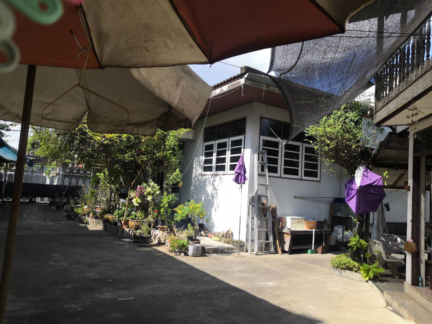 ขายที่ดินพร้อมบ้าน ซอยปรีดี พนมยงค์ 20 เขตวัฒนา กรุงเทพฯ ทำเลทอง ใกล้สุขุมวิทและ BTS พระโขนง – รูปที่ 4