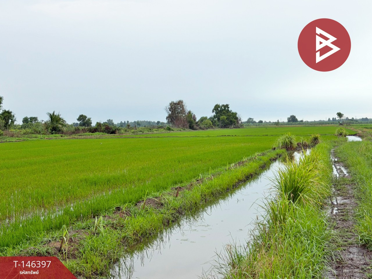 ขายที่ดิน เนื้อที่ 1 ไร่ 2 งาน 96 ตร.วา ท่าไข่ ฉะเชิงเทรา – รูปที่ 4