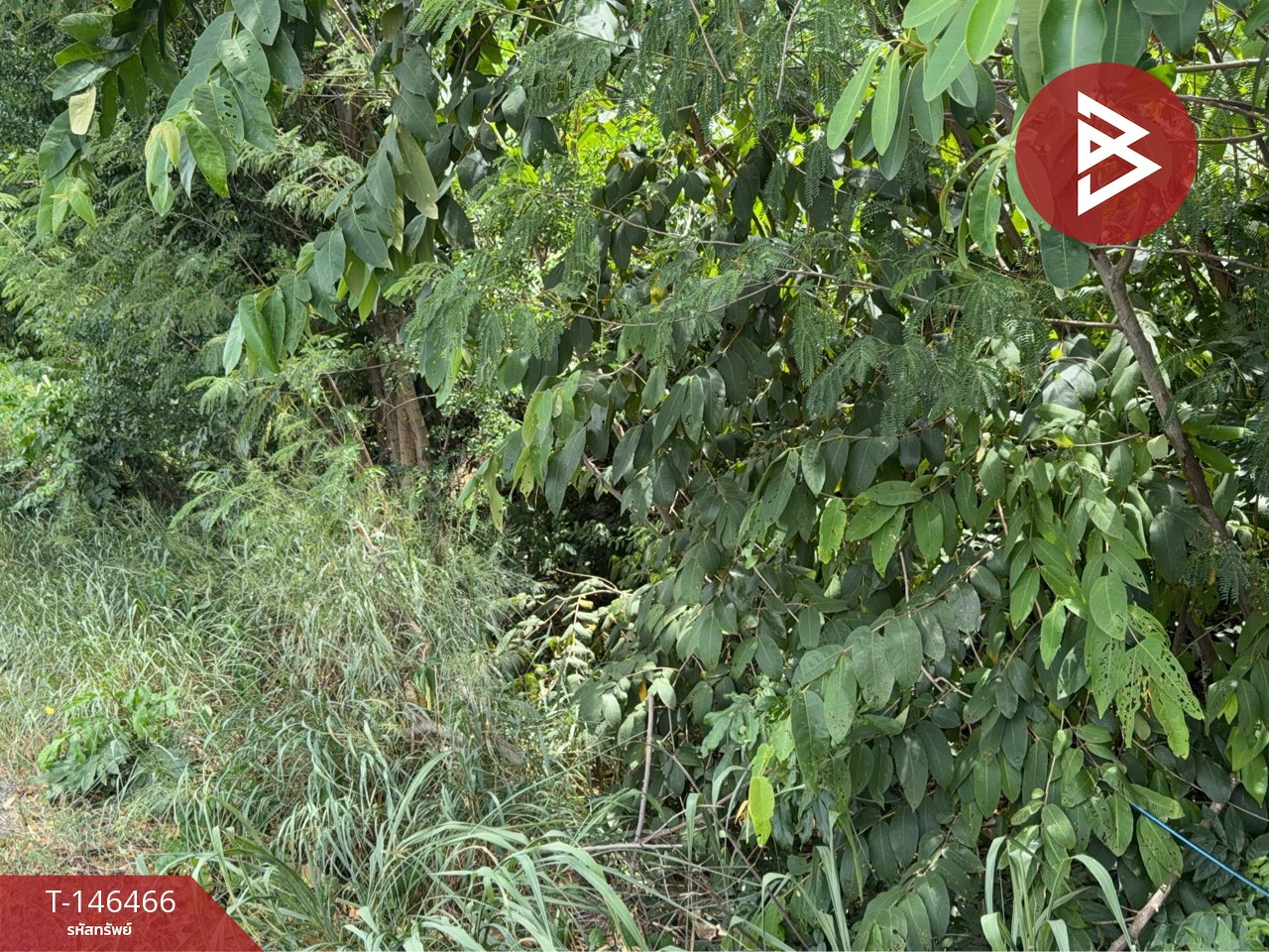 ขายที่ดิน เนื้อที่ 15 ไร่ 54 ตร.วา พัฒนานิคม ลพบุรี – รูปที่ 3