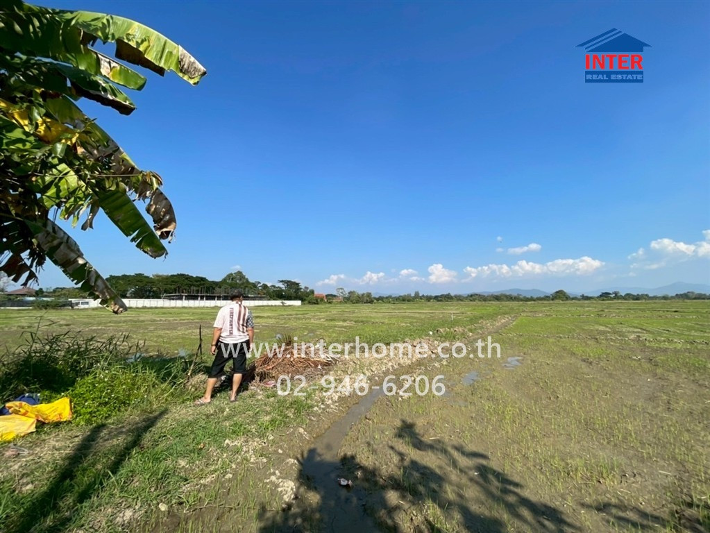 ที่ดินเปล่า 22 ไร่ 15 ตร.ว. ที่ดิน ใกล้วัดสันกำแพง ถนนเชียงใหม่-สันกำแพง ถนนเชียงใหม่-สันกำแพง สันกำแพง เชียงใหม่ – รูปที่ 4