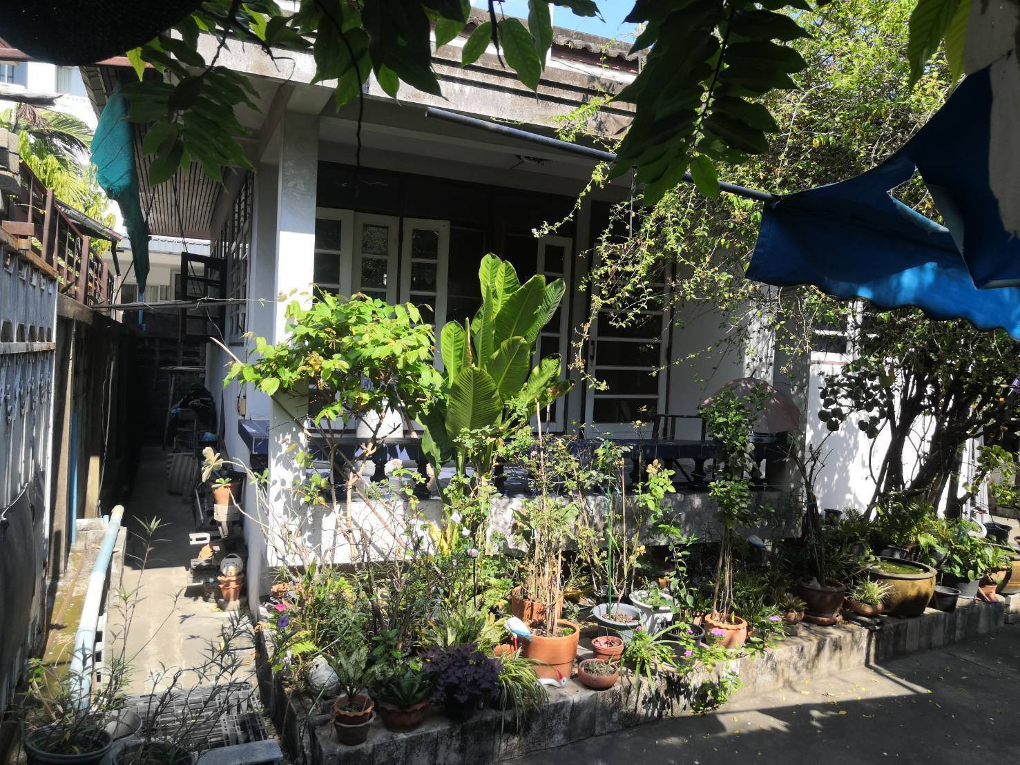 ขายที่ดินพร้อมบ้าน ซอยปรีดี พนมยงค์ 20 เขตวัฒนา กรุงเทพฯ ทำเลทอง ใกล้สุขุมวิทและ BTS พระโขนง – รูปที่ 2