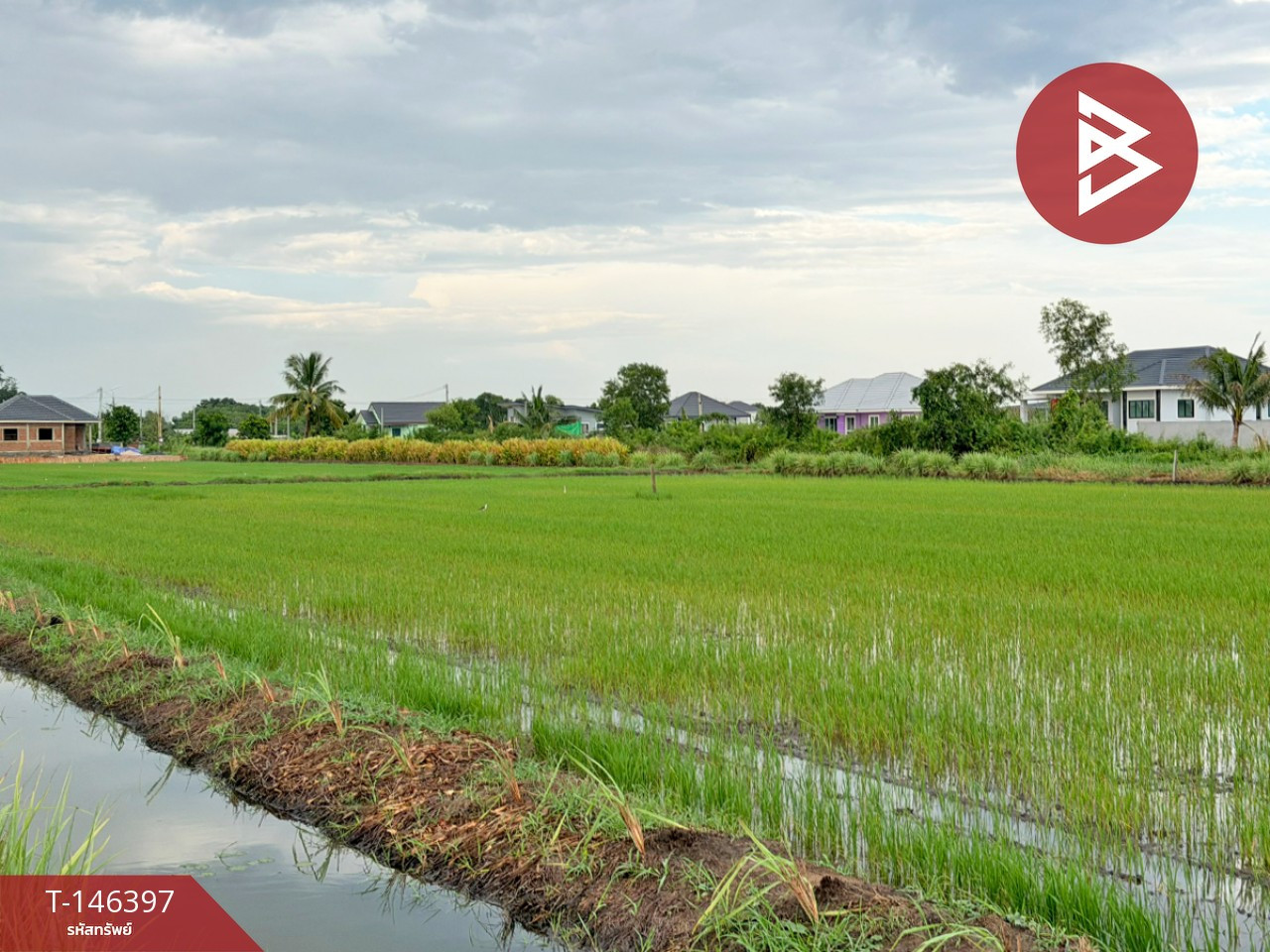 ขายที่ดิน เนื้อที่ 1 ไร่ 2 งาน 96 ตร.วา ท่าไข่ ฉะเชิงเทรา – รูปที่ 3