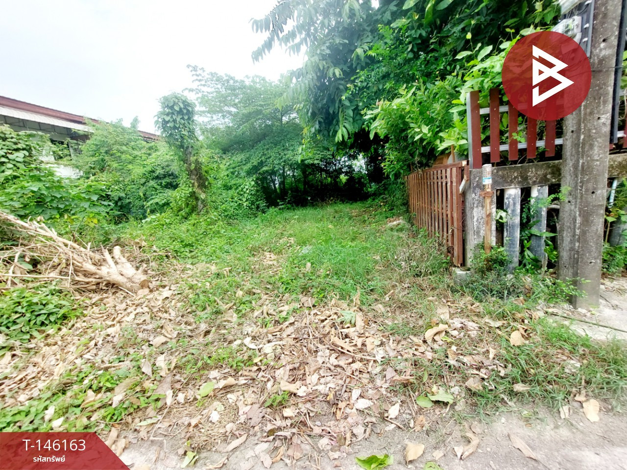 ขายที่ดิน เนื้อที่ 51.3 ตร.วา ท่าบ่อ หนองคาย – รูปที่ 4