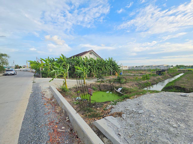 Large plot of land with house and garden for sale, 6 rai 114 sq.wa. Prime location, only 750 meters from Phutthamonthon Sai 5 Road. Ideal for a vacation home, garden house, housing development project, or long-term investment. | 93389 – รูปที่ 2