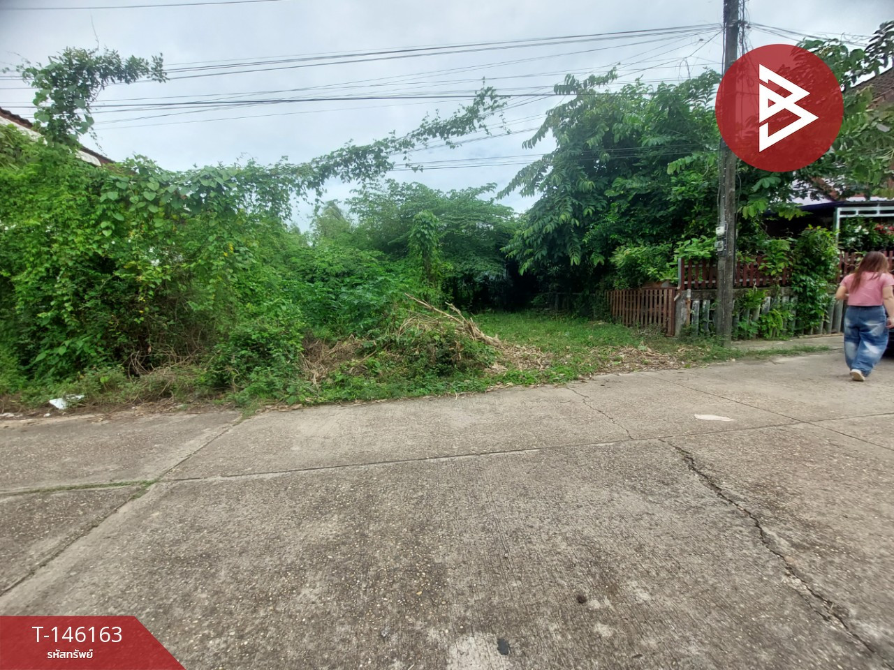ขายที่ดิน เนื้อที่ 51.3 ตร.วา ท่าบ่อ หนองคาย – รูปที่ 2