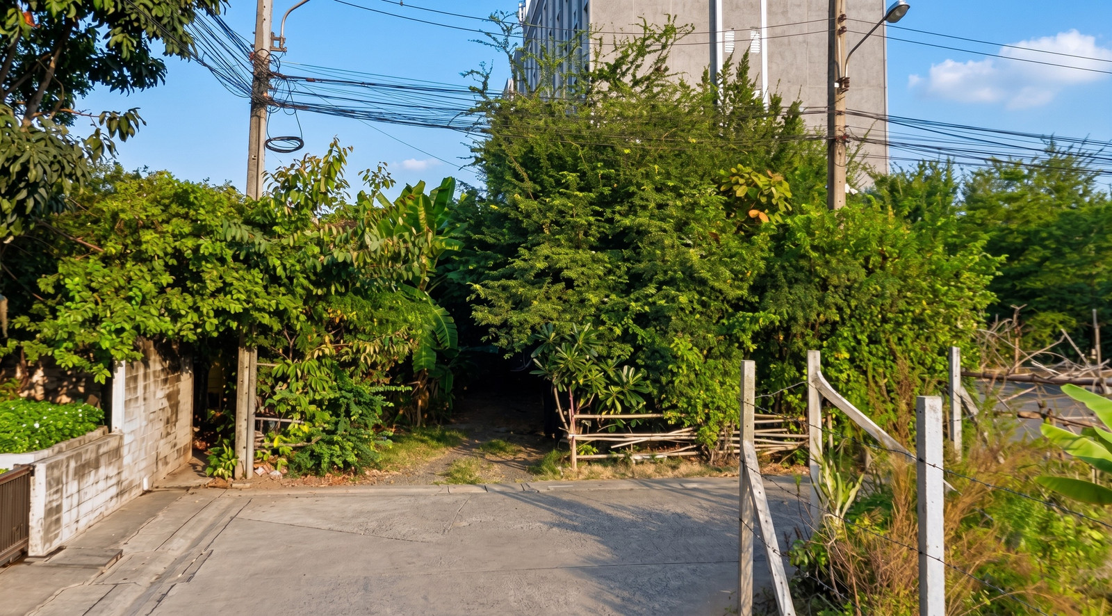 (ขาย) ที่ดินรามอินทรา หลัง Fashion Island ขนาด 190 ตร.ว. เหมาะทำ คาเฟ่ / Private Dining / Home Office บรรยากาศสุด Private – รูปที่ 3