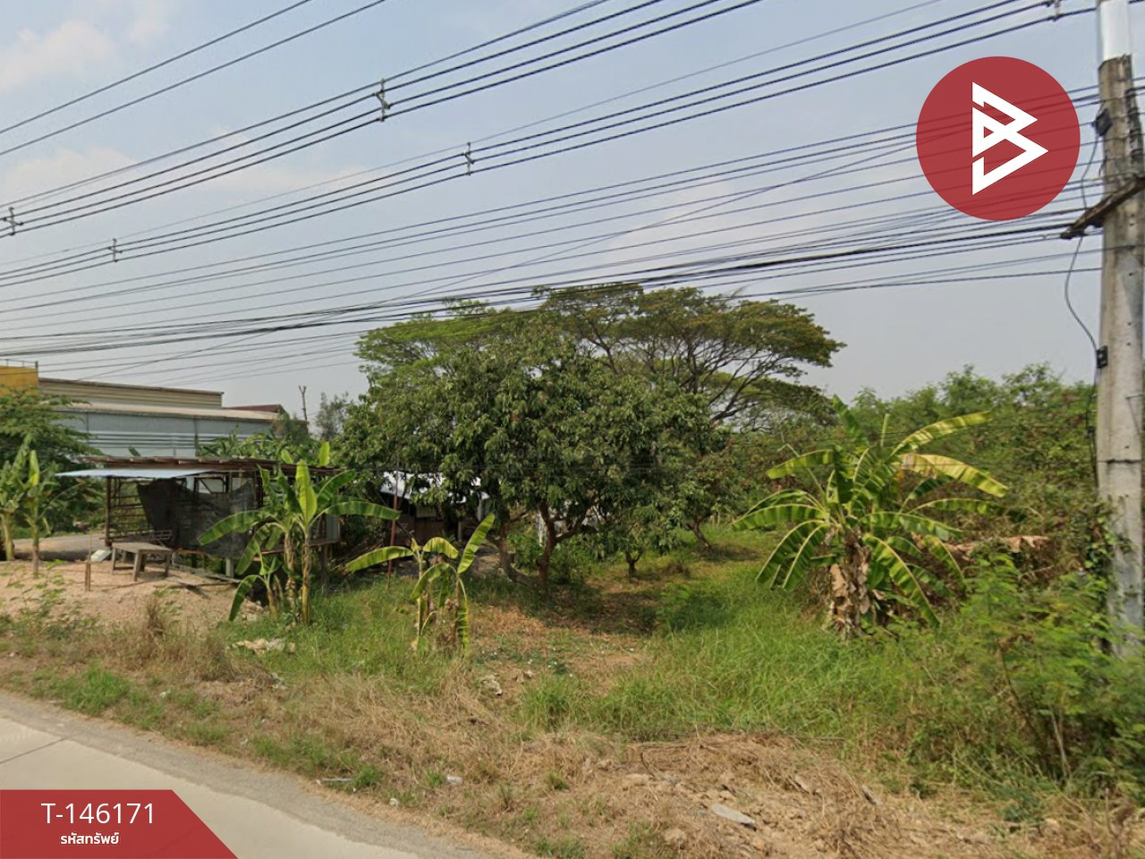 ขายที่ดิน เนื้อที่ 2 ไร่ 1 งาน 62.5 ตร.วา อุโมงค์ ลำพูน – รูปที่ 4
