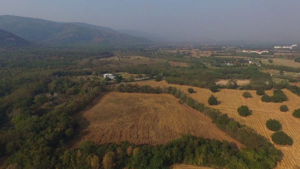 Land for sale, beautiful view, unattached, Khao Yai, size 17 rai, surrounded by trees, beautiful mountain view.