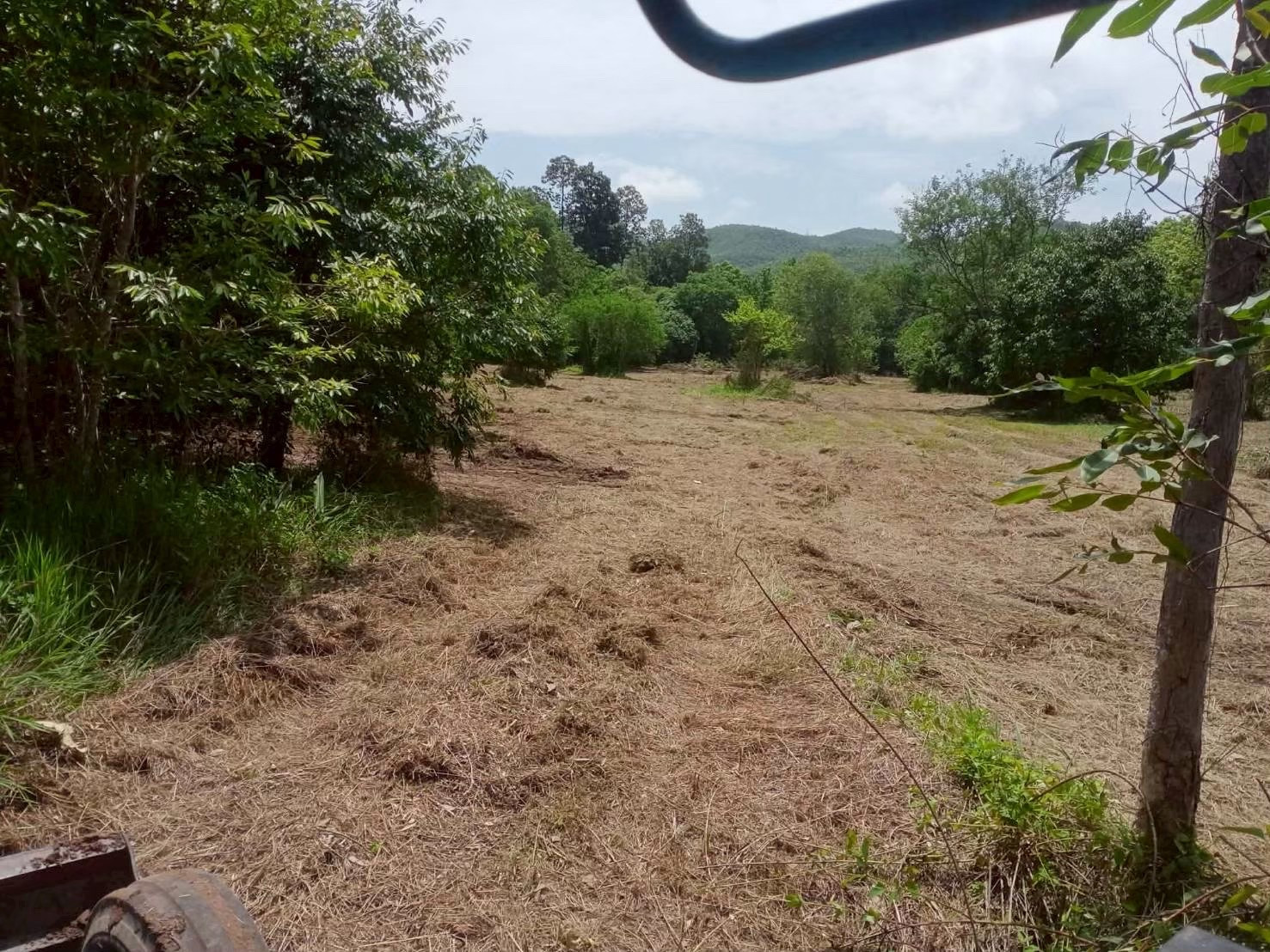 Land for sale in Lamphun Province, 16 rai 69 sq m, next to Lampang-Chiang Mai Road (Highway 11). – รูปที่ 3