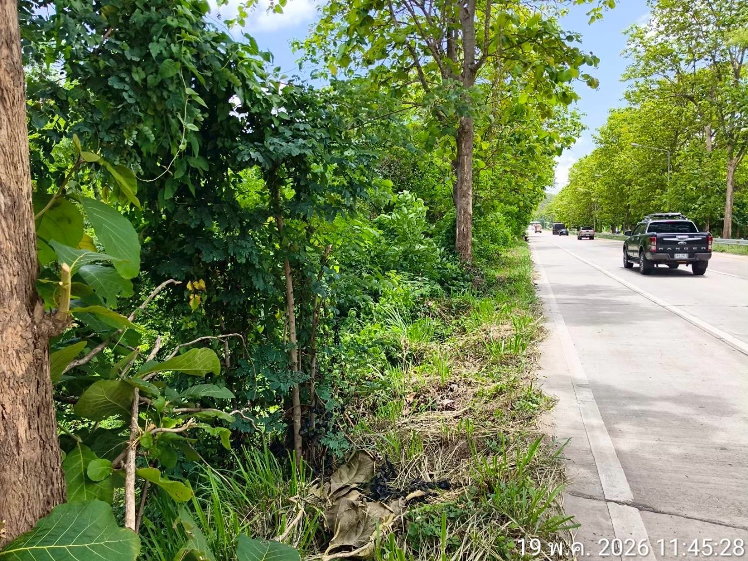 Land for sale in Lamphun Province, 16 rai 69 sq m, next to Lampang-Chiang Mai Road (Highway 11).