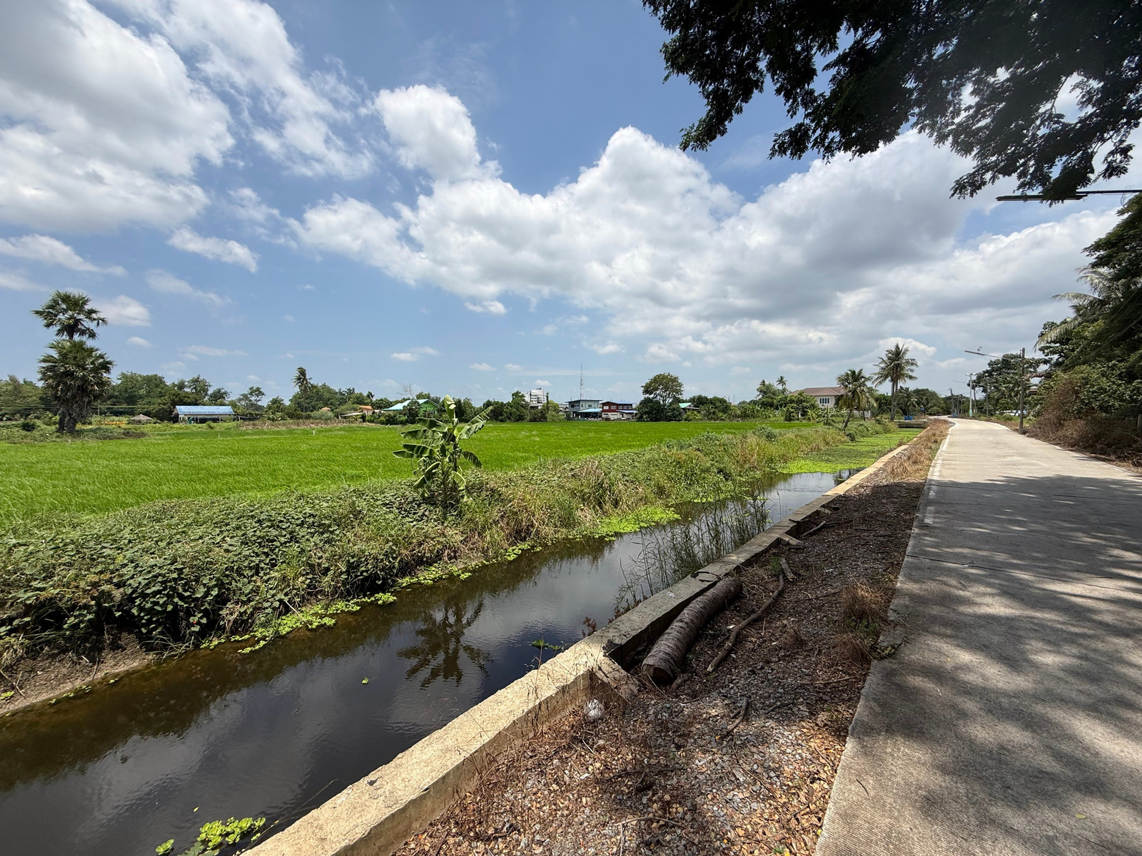 ขายที่ดิน นครชัยศรี – งิ้วราย จ.นครปฐม   เนื้อที่ 2 ไร่ 3 งาน 28 ตร.ว.   – รูปที่ 3