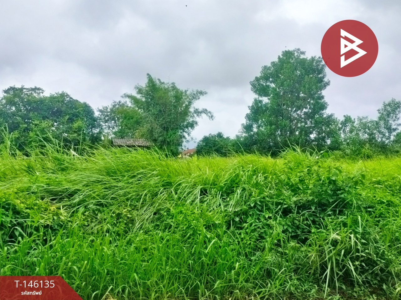 ขายที่ดิน เนื้อที่ 3 งาน 47.4 ตร.วา เกาะขวาง จันทบุรี – รูปที่ 4
