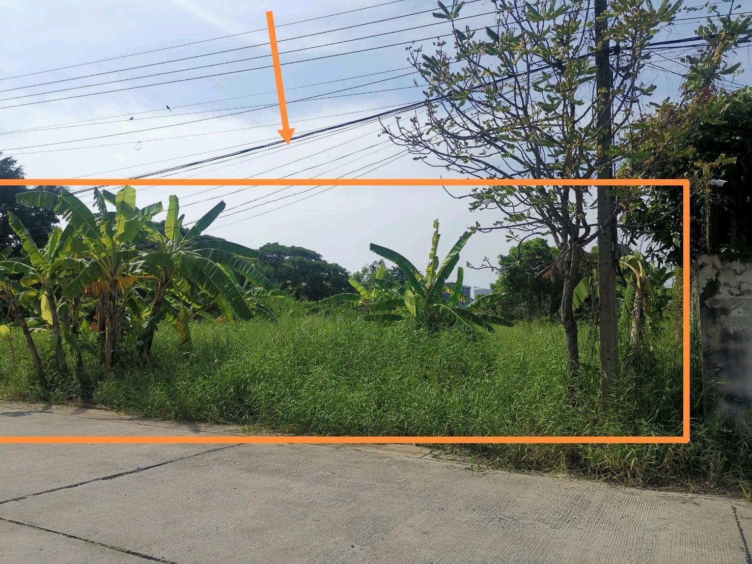 Land for sale in Khu Khot, great location!! Next to Lotus Lam Luk Ka Khlong 2 Land for sale in Khu Khot, great location!! Next to Lotus Lam Luk Ka Khlong 2