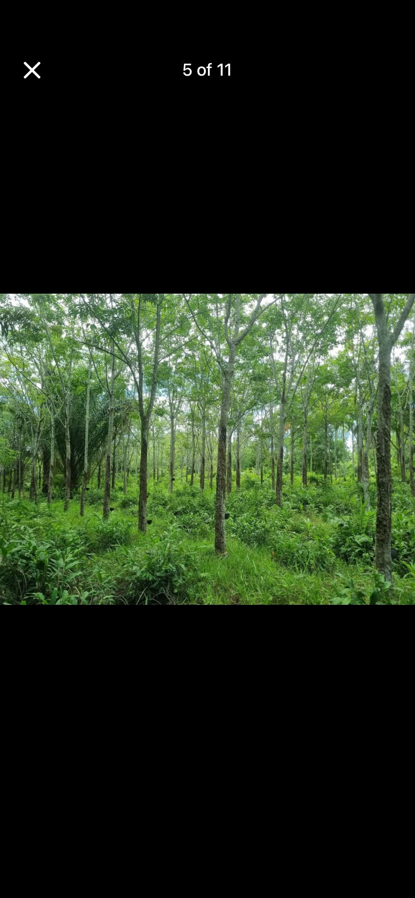 Land for sale next to a 4-lane road, prime location, near Walailak University. The  is selling it himself. – รูปที่ 4