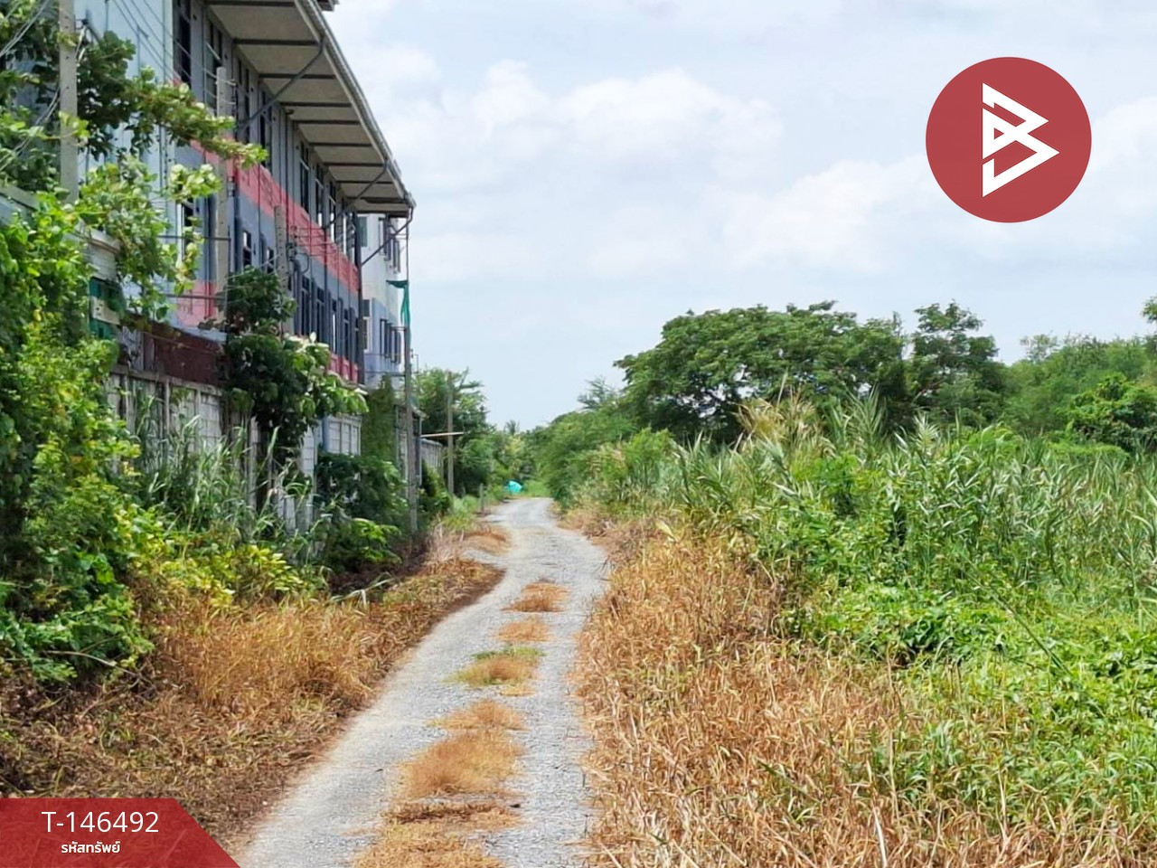 ขายที่ดิน เนื้อที่ 1 งาน 88 ตร.วา ไทรน้อย นนทบุรี – รูปที่ 3