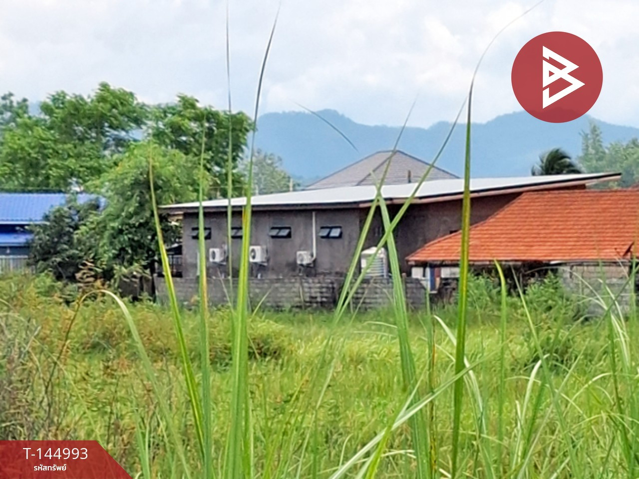 ขายที่ดิน เนื้อที่ 4 ไร่ 14 ตารางวา พาน เชียงราย – รูปที่ 4