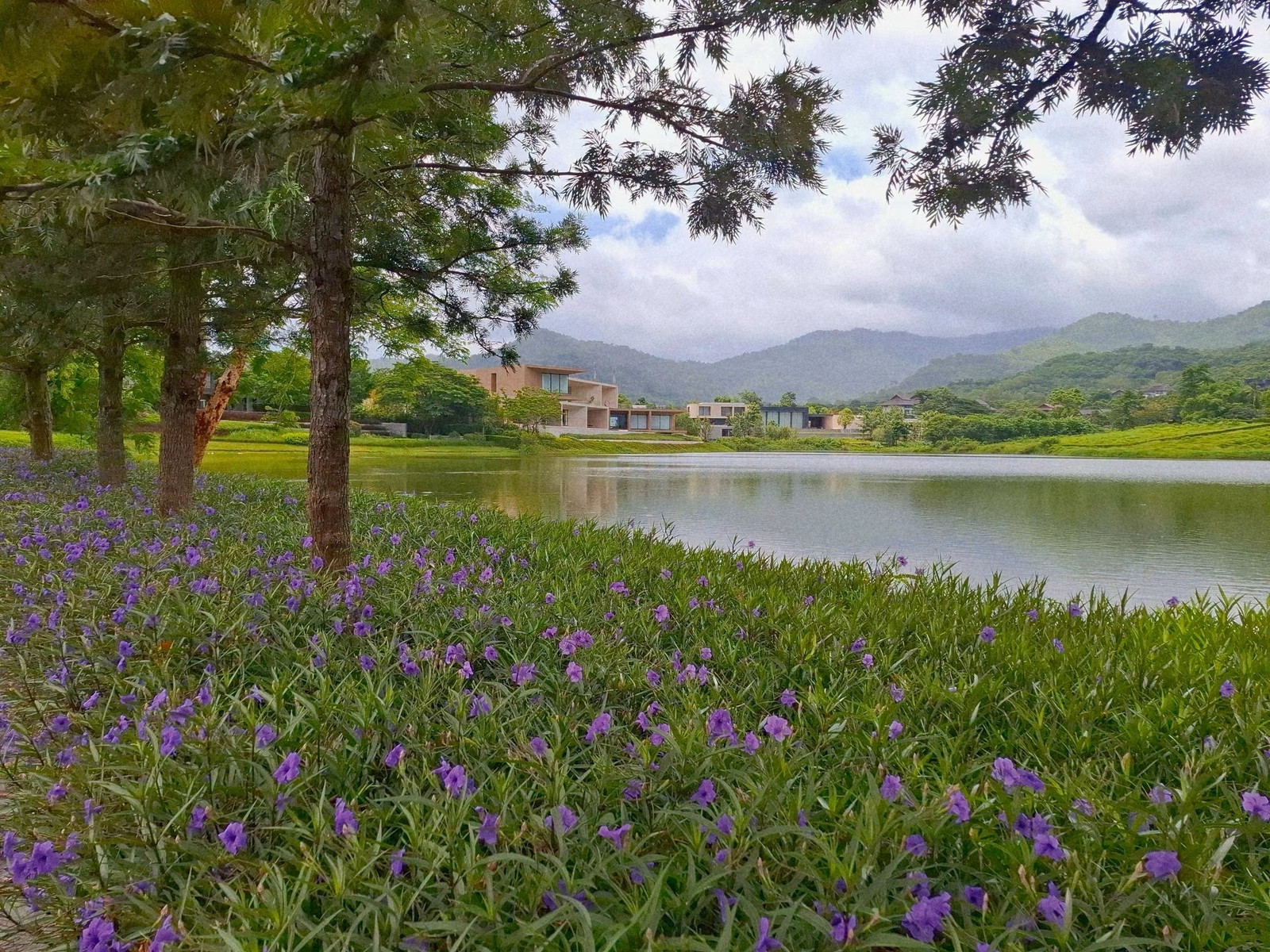 🛖House for sale in Khao Yai valley 💎 🛖House for sale in Khao Yai valley 💎