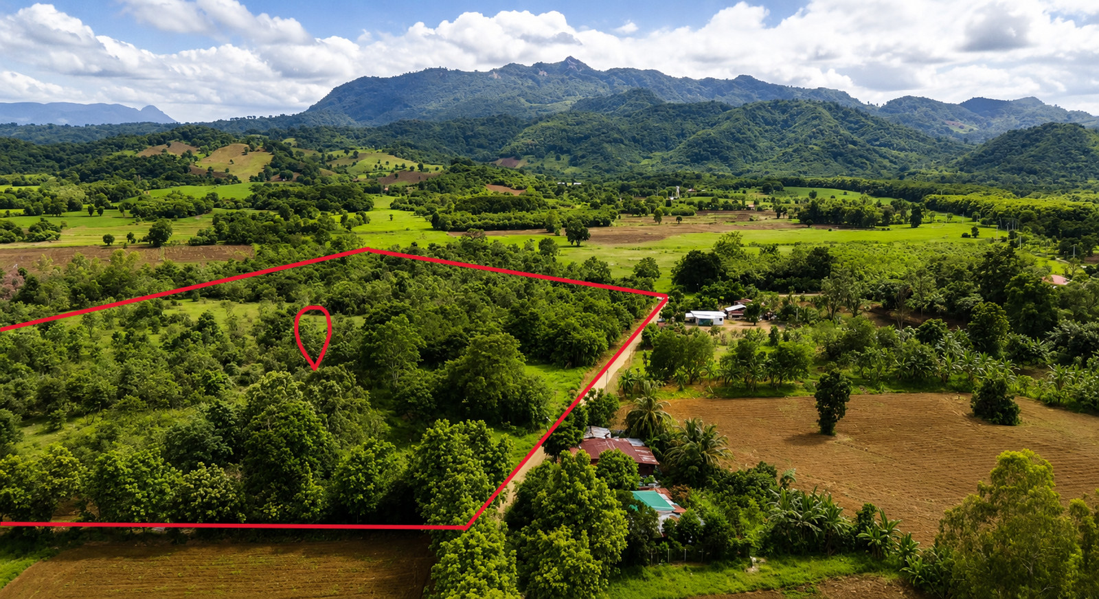 ขายที่ดิน 44 ไร่ ต.วังชมภู เพชรบูรณ์ ใกล้ถนน 21 เหมาะทำรีสอร์ต ฟาร์ม หรือโครงการจัดสรร – รูปที่ 3
