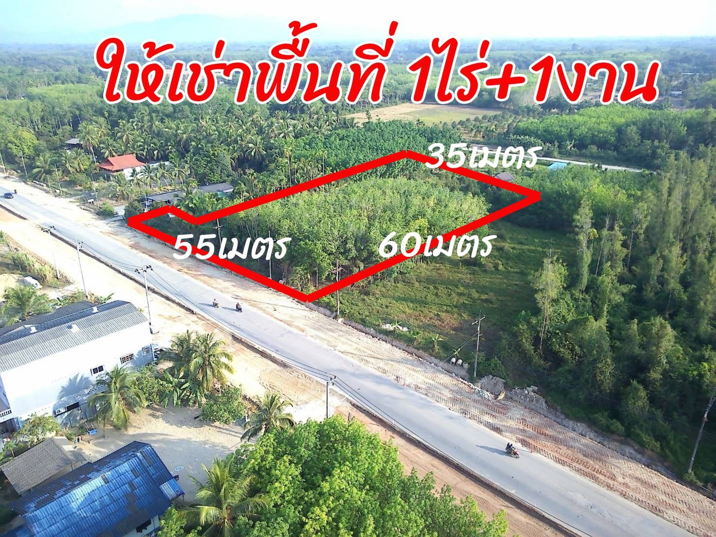 Land for sale next to a 4-lane road, prime location, near Walailak University. The is selling it himself. Land for sale next to a 4-lane road, prime location, near Walailak University. The is selling it himself.