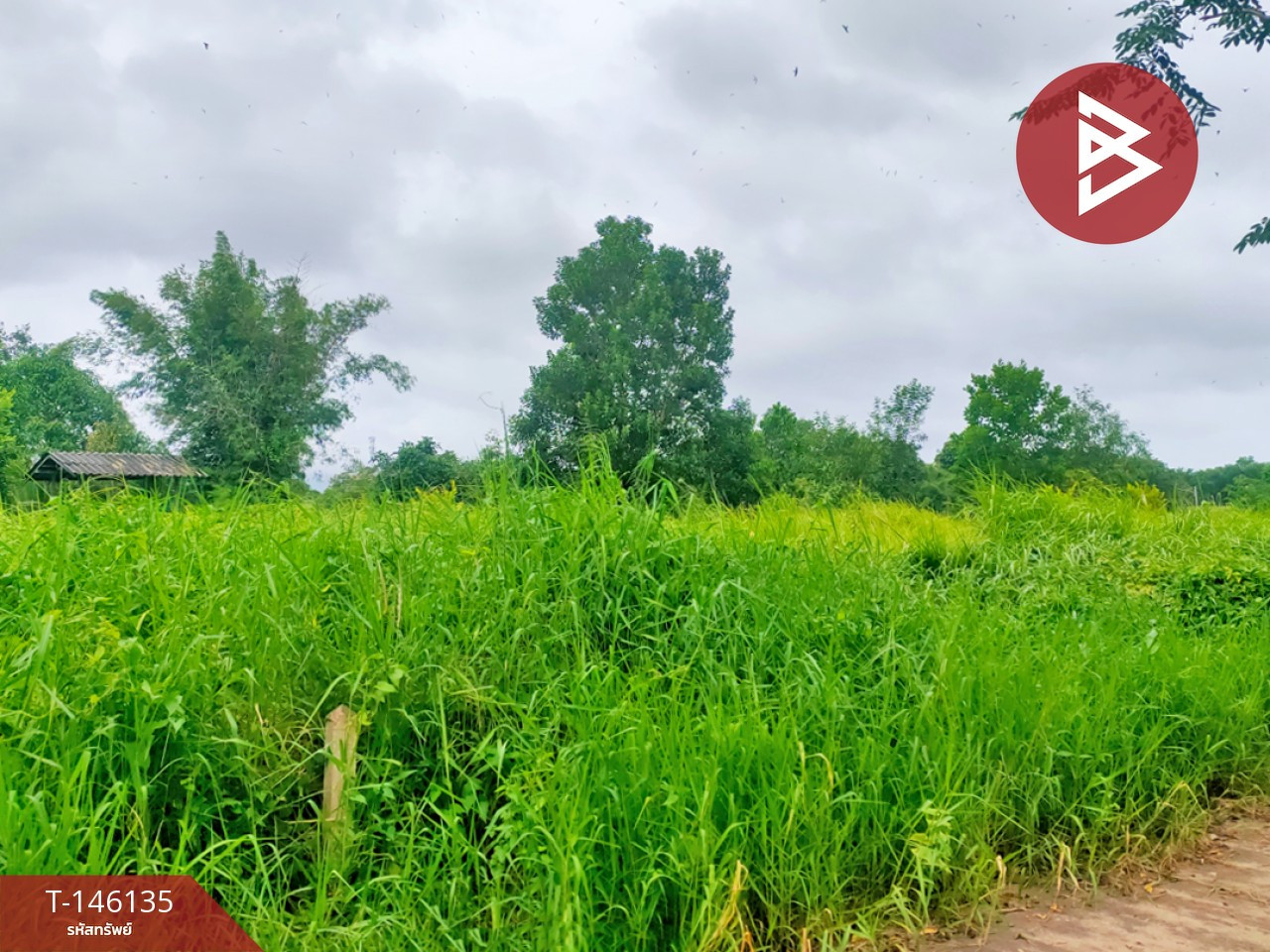 ขายที่ดิน เนื้อที่ 3 งาน 47.4 ตร.วา เกาะขวาง จันทบุรี – รูปที่ 3