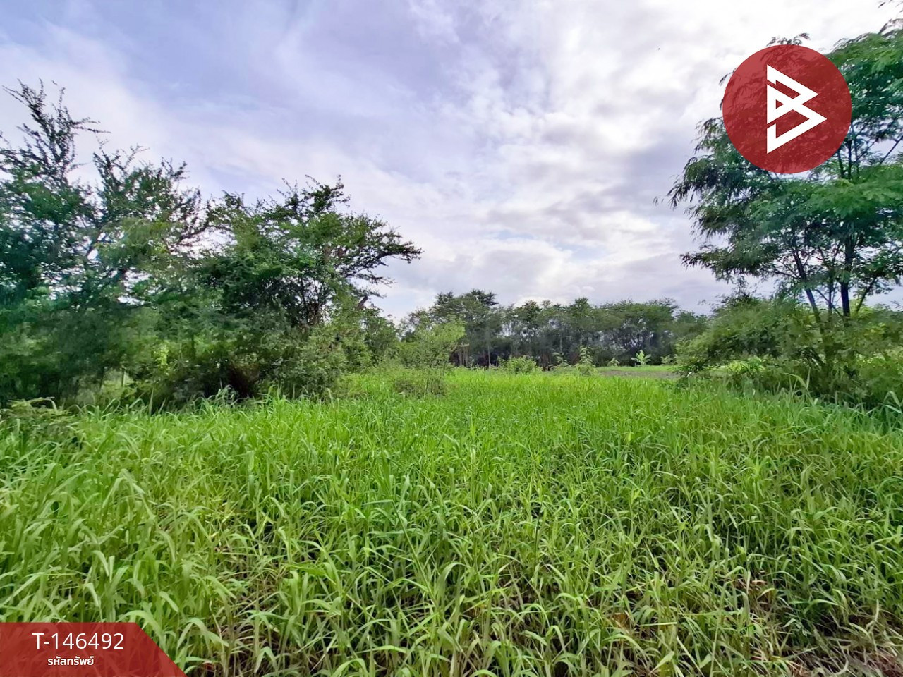 ขายที่ดิน เนื้อที่ 1 งาน 88 ตร.วา ไทรน้อย นนทบุรี – รูปที่ 2