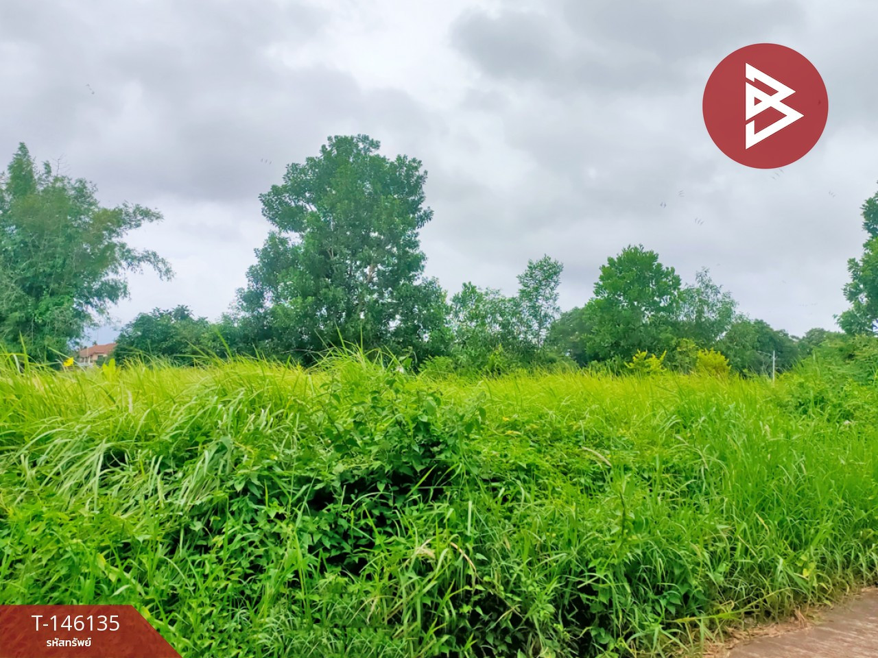 ขายที่ดิน เนื้อที่ 3 งาน 47.4 ตร.วา เกาะขวาง จันทบุรี – รูปที่ 2