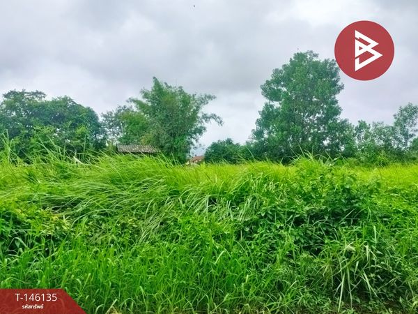 ขายที่ดิน เนื้อที่ 3 งาน 47.4 ตร.วา เกาะขวาง จันทบุรี